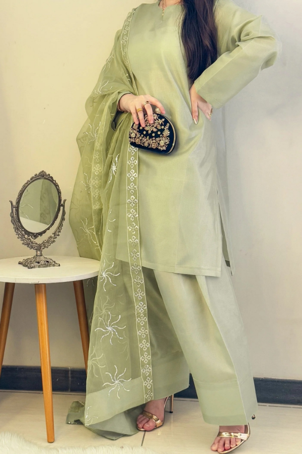 Farshi Shalwar Dazzling Aura - Aster Ragini.pk