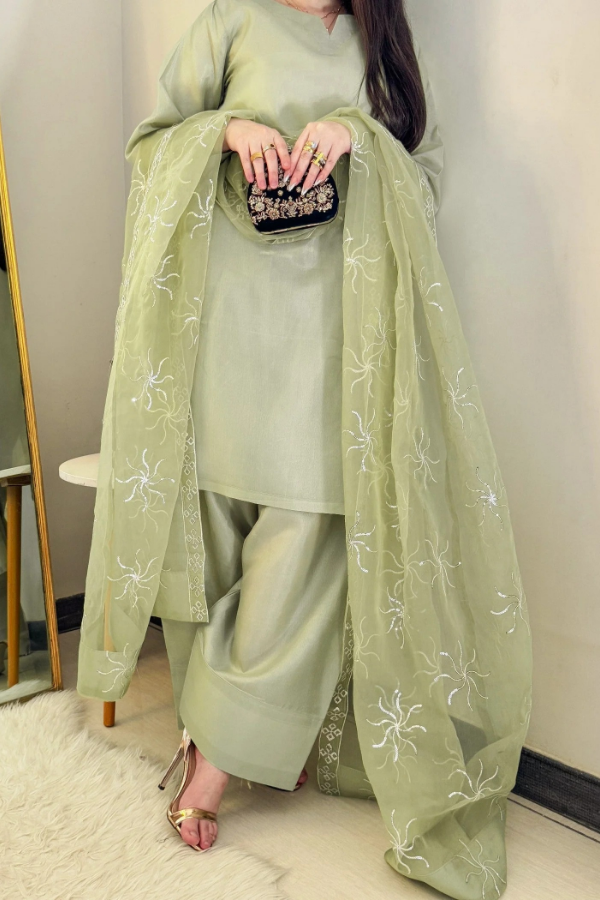 Farshi Shalwar Dazzling Aura - Aster Ragini.pk