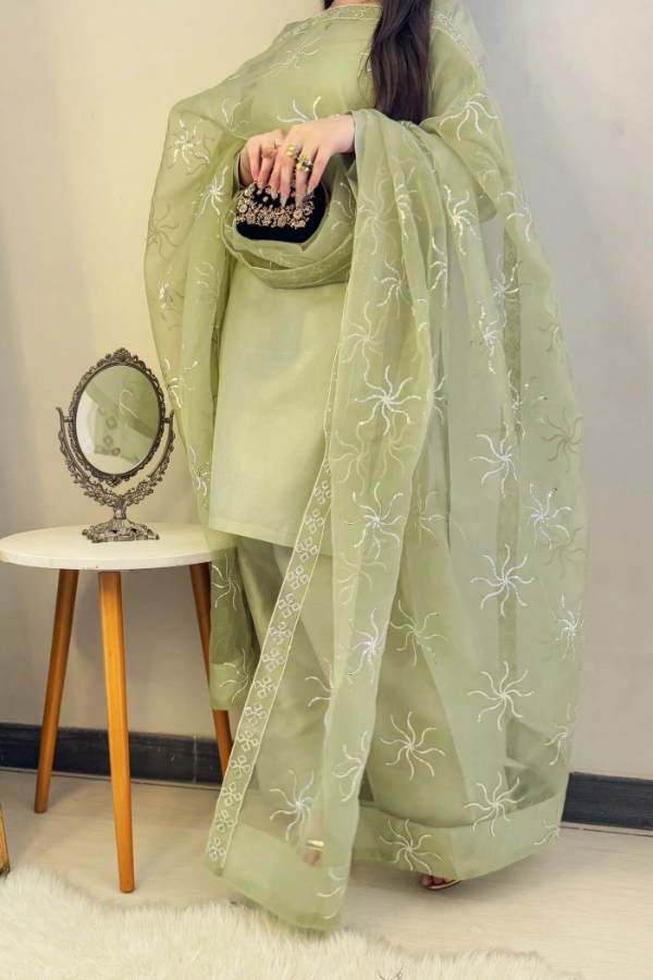 Farshi Shalwar Dazzling Aura - Aster Ragini.pk