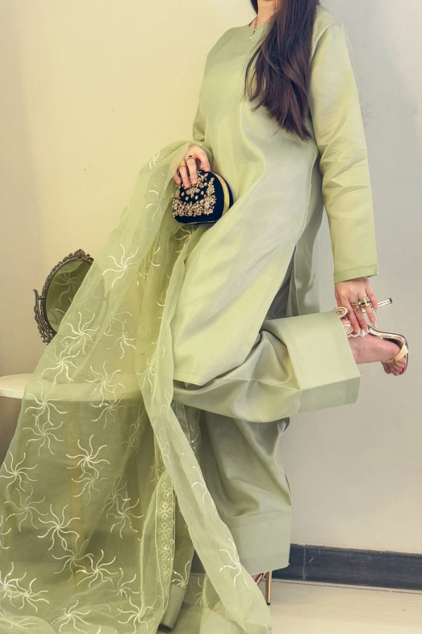 Farshi Shalwar Dazzling Aura - Aster Ragini.pk
