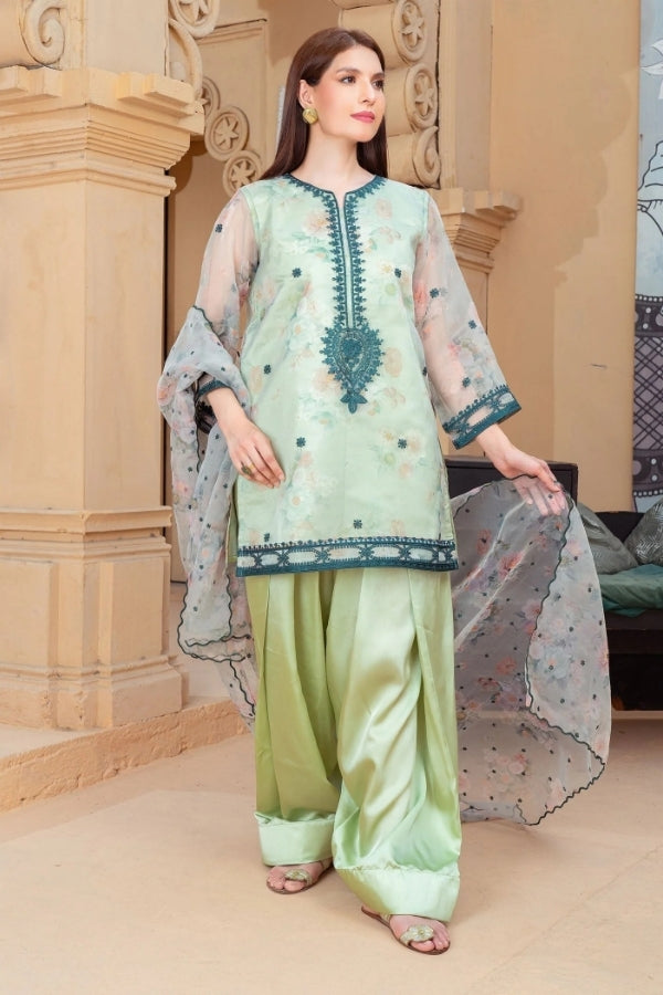 Narmeen – Mint Green Embroidered Organza Kurta with Farshi Shalwar & Organza Dupatta | 3-Piece Festive Ready-to-Wear Suit for Women by Ragini