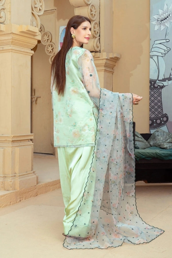 Narmeen – Mint Green Embroidered Organza Kurta with Farshi Shalwar & Organza Dupatta | 3-Piece Festive Ready-to-Wear Suit for Women by Ragini