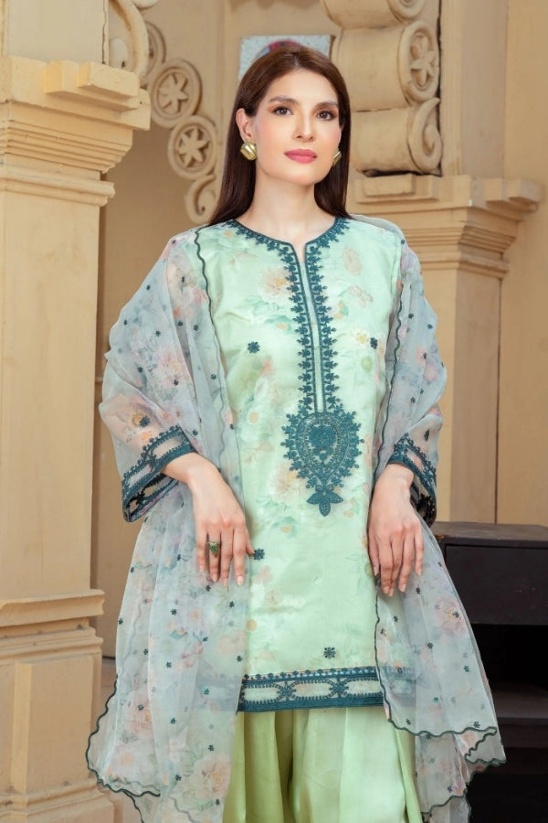 Narmeen – Mint Green Embroidered Organza Kurta with Farshi Shalwar & Organza Dupatta | 3-Piece Festive Ready-to-Wear Suit for Women by Ragini