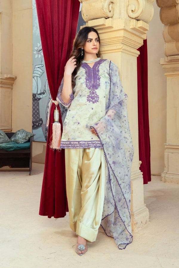 Noor-e-Naz – Cream Embroidered Organza Kurta with Farshi Shalwar & Organza Dupatta | 3-Piece Festive Ready-to-Wear Dress for Women by Ragini