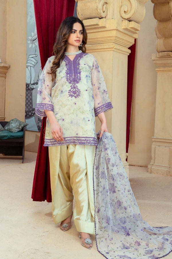 Noor-e-Naz – Cream Embroidered Organza Kurta with Farshi Shalwar & Organza Dupatta | 3-Piece Festive Ready-to-Wear Dress for Women by Ragini